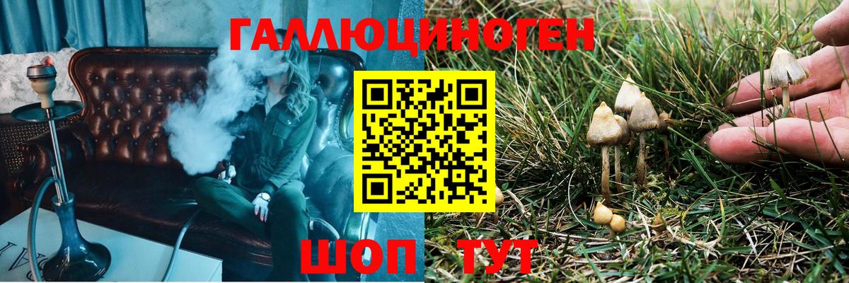 Галлюциногенные грибы мицелий  Вход с VPN  Кинешма 